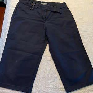 Ann Taylor Lindsay navy blue cropped pants